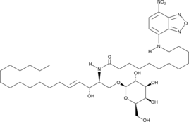 C12 NBD Galactosylceramide (d18:1/12:0) (N-Dodecanoyl-NBD-Galactosylceramide, C12 NBD Galactosylceramide, NBD Galactosylceramide (d18:1/12:0), C12-NBD GalCer, NBD GalCer(d18:1/12:0), CAS Number: 474942-98-8)