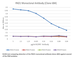 PAD1 Monoclonal Antibody (Clone 6B4)