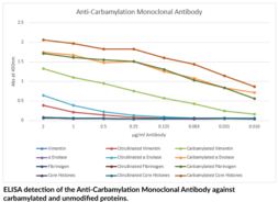 Anti-Carbamylation (Homocitrulline) Monoclonal Antibody (Clone 1C6)