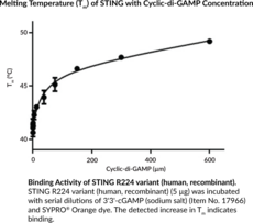 STING R224 variant (human, recombinant)