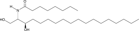 C8 dihydro Ceramide (d18:0/8:0) (Cer(d18:0/8:0), Ceramide (d18:0/8:0), N-octanoyl-D-erythro-Dihydrosphingosine, CAS Number: 145774-33-0)