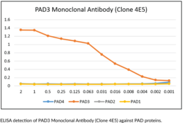 PAD3 Monoclonal Antibody (Clone 4E5)