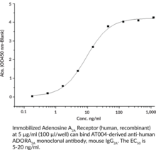Adenosine A2A Receptor (human, recombinant)