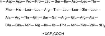 Urocortin (rat) (trifluoroacetate salt) (CAS Number: 171543-83-2)