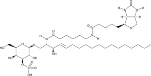 C6 Biotin 3'-sulfo Galactosylceramide (d18:1/6:0) (Biotin 3'-sulfo Galactosylceramide (d18:1/6:0), Biotin (3'-sulfo)Galβ-Cer(d18:1/6:0), C6 Biotin Sulfatide, N-hexanoyl Biotin Sulfatide)