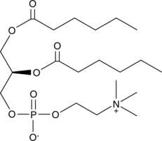 1,2-Dihexanoyl-sn-glycero-3-PC (DHPC-C6, L-1,2-Dihexanoyllecithin, 1,2-Dihexanoyl-sn-glycero-3-Phosphocholine, CAS Number: 34506-67-7)