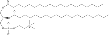 1,2-Dinonadecanoyl-sn-glycero-3-PC (1,2-Dinonadecanoyl-sn-glycero-3-phosphocholine, 1,2-DNPC, PC (19:0/19:0), CAS Number: 95416-27-6)