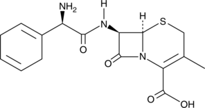 Cefradine (SQ 11,436, CAS Number: 38821-53-3)