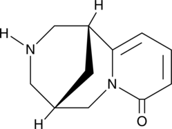Cytisine (Baptitoxine, Cytiton, Laburnin, Sophorine, Tsitafat, CAS Number: 485-35-8)