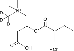 2-Methylbutyryl-L-carnitine-d3 (chloride) (CAR 5:0-d3, C5:0 Carnitine-d3, L-Carnitine 2-methylbutyroyl ester-d3, L-Carnitine 2-methylbutyryl ester-d3, 2-Methylbutyroylcarnitine-d3, 2-Methylbutyrylcarnitine-d3)