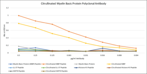 Citrullinated Myelin Basic Protein Polyclonal Antibody
