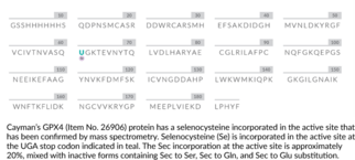 GPX4 (human, recombinant; His-tagged)