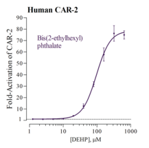 Human Constitutive Androstane Receptor, isoform 2 Reporter Assay System (CAR2, NR1I3i2)