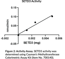 SETD3 (human, recombinant)