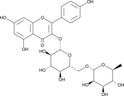 Nicotiflorin (Kaempferol 3-O-β-rutinoside, 3,4′,5,7-Tetrahydroxyflavone 3-rhamnoglucoside, CAS Number: 17650-84-9)