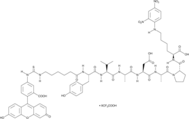 FITC-C6-YVADAP-K(Dnp) (trifluoroacetate salt) (FITC-C6-Tyr-Val-Ala-Asp-Ala-Pro-Lys(Dnp)-OH)