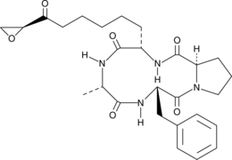 1-Alaninechlamydocin (CAS Number: 141446-96-0)