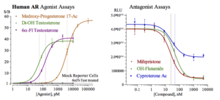 Rat Androgen Receptor Reporter Assay System (NR3C4, rAR)