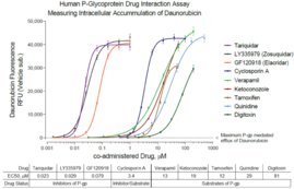 Human P-Glycoprotein / MDR1 Drug Interaction Assay (ATP Binding Cassette Protein B1, ABCB1, MDR-1, Multi-Drug Resistance 1 Transporter, P-gp)