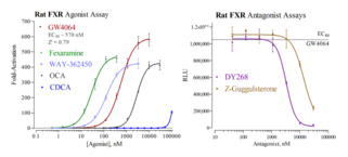 Rat Farnesoid X Receptor Reporter Assay System (FXR, rFXR, NR1H4)
