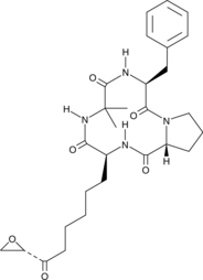 Chlamydocin (CAS Number: 53342-16-8)