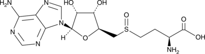 SAHO (CAS Number: 29907-86-6)