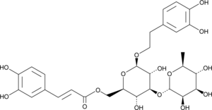 Isoverbascoside (Isoacteoside, CAS Number: 61303-13-7)