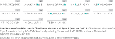 Citrullinated Histone H2A Type 1 (human, recombinant)
