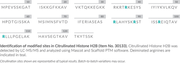 Citrullinated Histone H2B (human, recombinant)