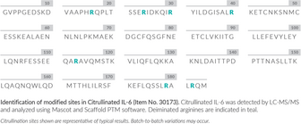 Citrullinated Interleukin-6 (human, recombinant)
