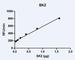 Sphingosine Kinase 2 (human, recombinant)