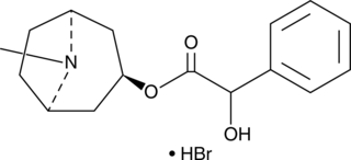 Homatropine (hydrobromide) ((±)-Homatropine, CAS Number: 51-56-9)