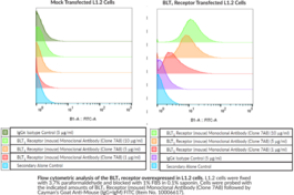 BLT1 Receptor (mouse) Monoclonal Antibody (Clone 7A8) (BLTR1, LTB4 Receptor 1, Leukotriene B4 Receptor 1)