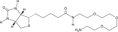 (+)-Biotin-PEG3-amine (Amine-PEO3-biotin, CAS Number: 359860-27-8)
