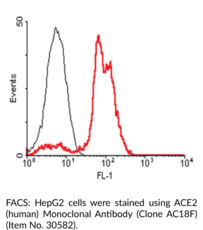 ACE2 (human) Monoclonal Antibody (Clone AC18F)