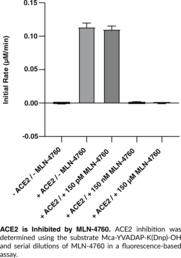 ACE2 (human, recombinant)