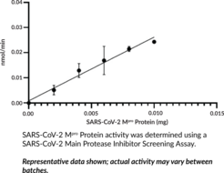 SARS-CoV-2 Mpro Protein