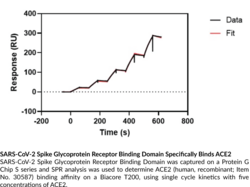 SARS-CoV-2 Spike Glycoprotein Receptor Binding Domain (rabbit IgG1 Fc-tagged)