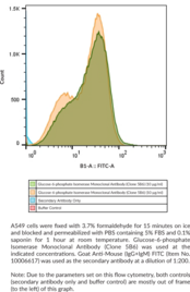 Glucose-6-phosphate Isomerase Monoclonal Antibody (Clone 5B6)