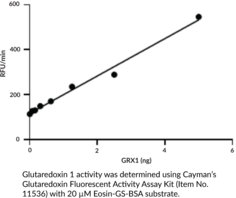 Glutaredoxin 1 (human, recombinant)