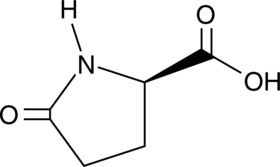 D-Pyroglutamic Acid ((R)-5-Oxoproline, (+)-Pyroglutamic Acid, CAS Number: 4042-36-8)