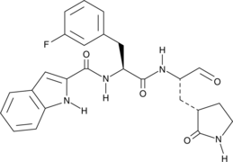 Mpro Inhibitor 11b (CAS Number: 2413716-71-7)