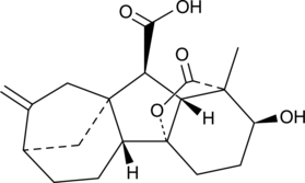 Gibberellin A4 (GA4, CAS Number: 468-44-0)
