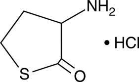 DL-Homocysteine thiolactone (hydrochloride) (DL-Hcy thiolactone, DL-Hcy TLHC, NSC 22879, CAS Number: 6038-19-3)