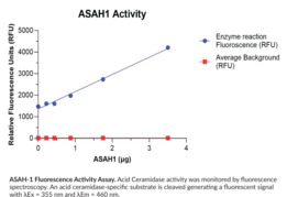 Acid Ceramidase (human, recombinant)