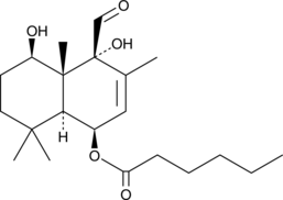 Nanangenine F