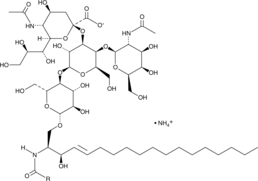 Ganglioside GM2 Mixture (bovine brain) (ammonium salt) (GM2 Mixture, Monosialoganglioside GM2 Mixture, CAS Number: 19600-01-2)
