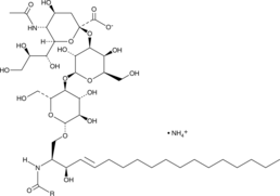 Ganglioside GM3 (bovine buttermilk) (ammonium salt) (Hematoside, Monosialoganglioside GM1, Sialosyllactosylceramide, CAS Number: 54827-14-4)