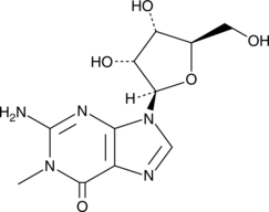N1-Methylguanosine (1-Methylguanosine, m1G, NSC 70897, CAS Number: 2140-65-0)