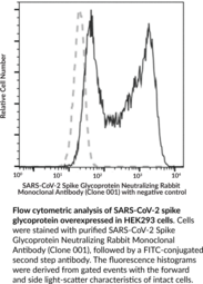 SARS-CoV-2 Spike Glycoprotein Neutralizing Rabbit Monoclonal Antibody (Clone 001)